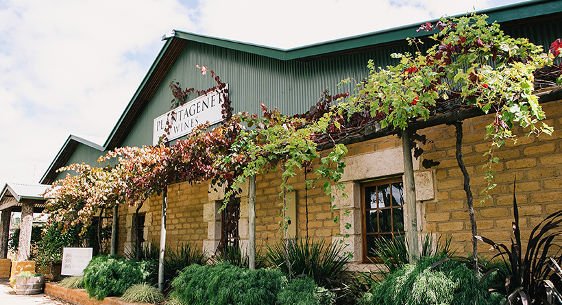 Plantagenet cellar door